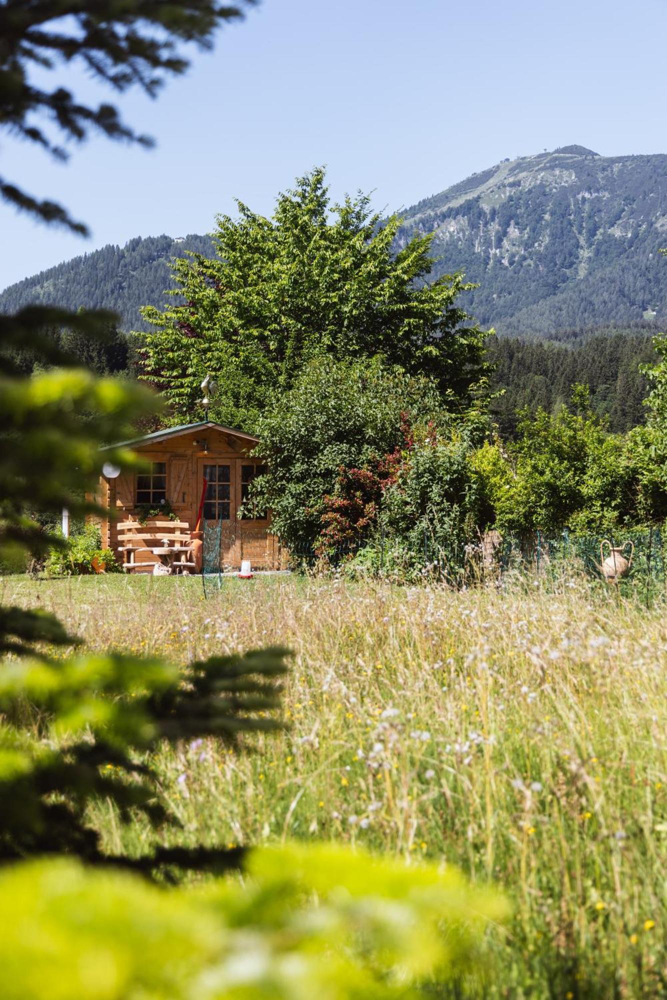 Pension Klug Adults Only - Dorfresort Mitterbach Exterior photo